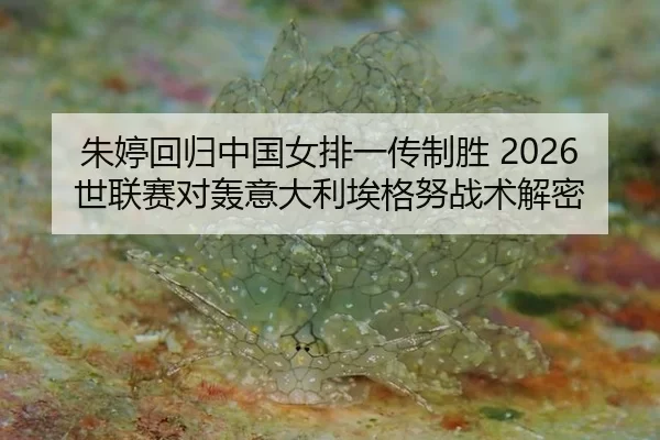 zhu-ting-hui-gui-zhong-guo-nv-pai-yi-chuan-zhi-sheng-shi-lian-sai-dui-hong-yi-da-li-ai-ge-nu-zhan-shu-jie-mi-2-149.jpg